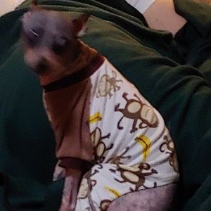 Meet your Posher, Janice